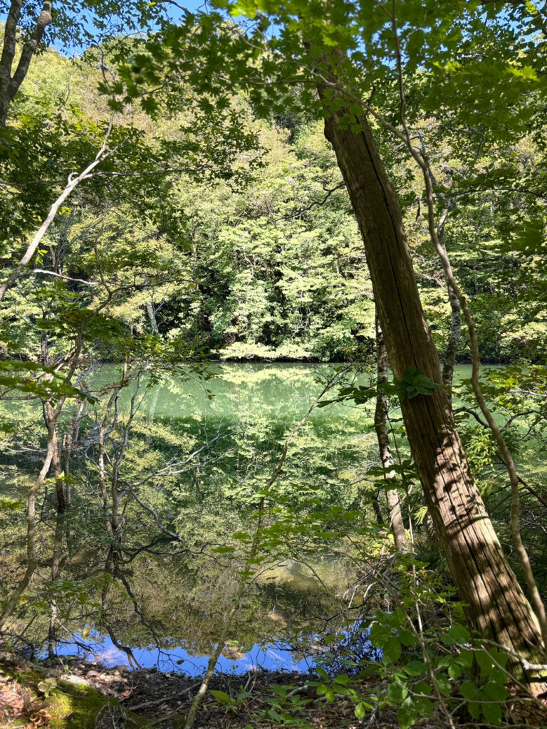 Lake at the Juniko Area1