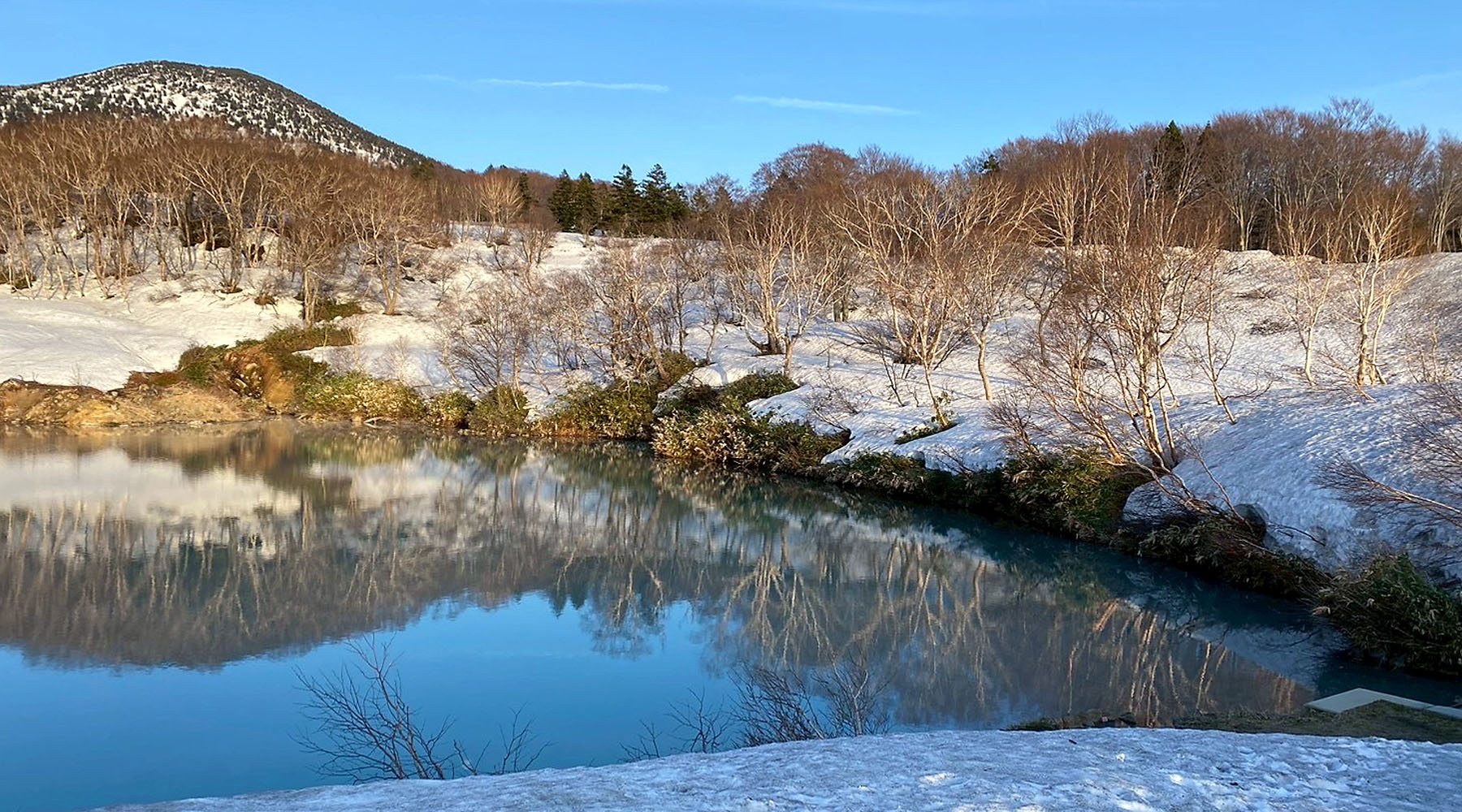 A serene winter pond in Aomori reflecting snowy trees and a clear blue mountain sky.
