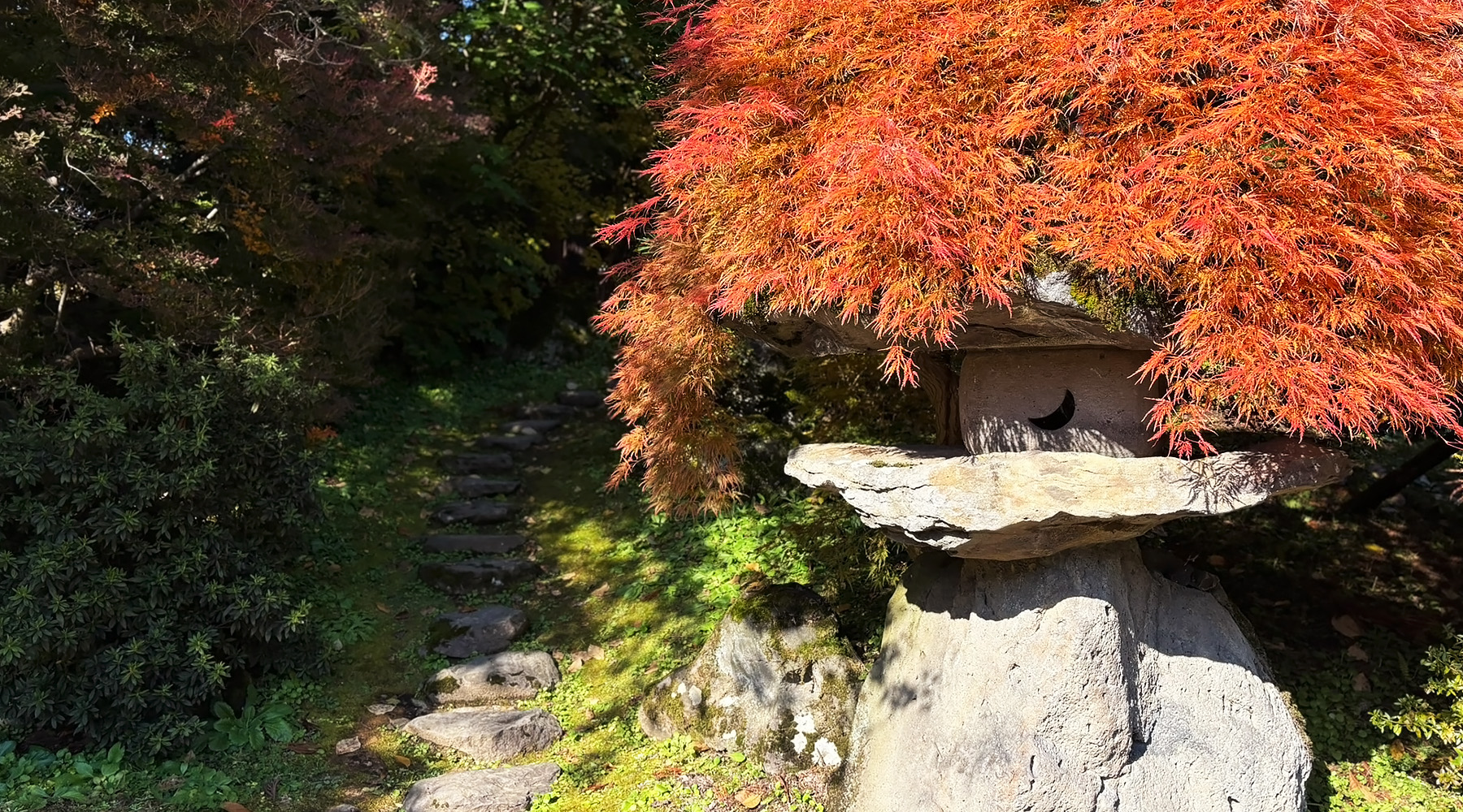 Stone lantern and vibrant autumn foliage in the garden of Seibien, Aomori