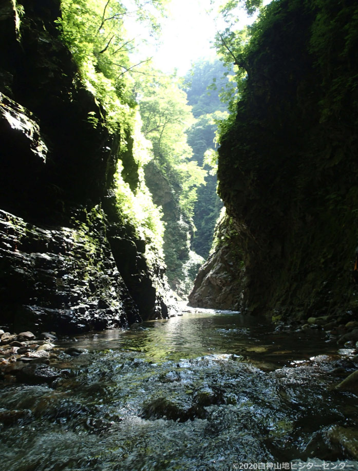 Waterfall in the Shirakami Mountains