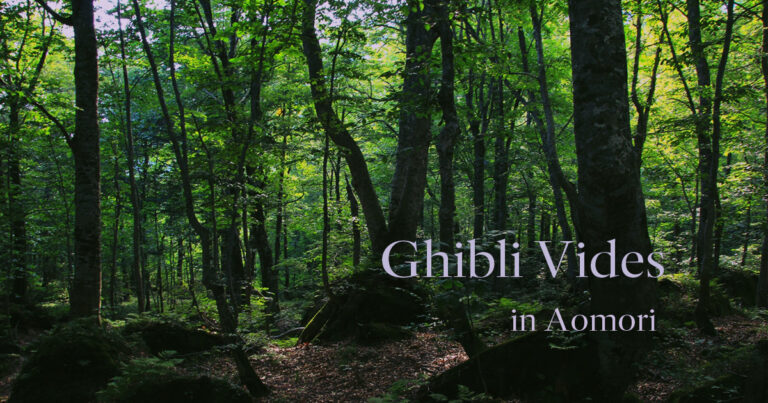 Shirakami Forest – Ghibli Vibes in Aomori